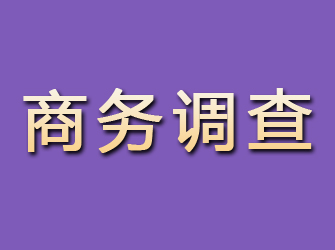 锦江商务调查